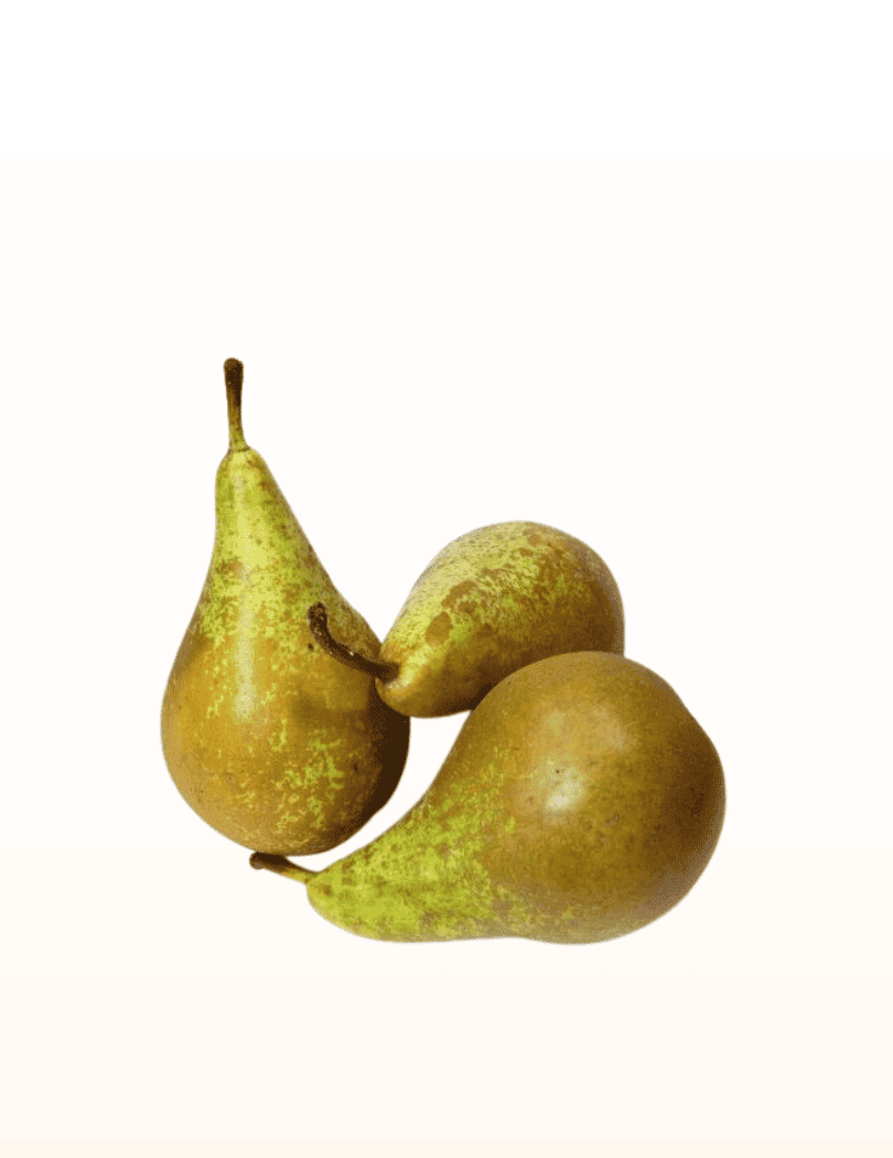 Poire Conférence